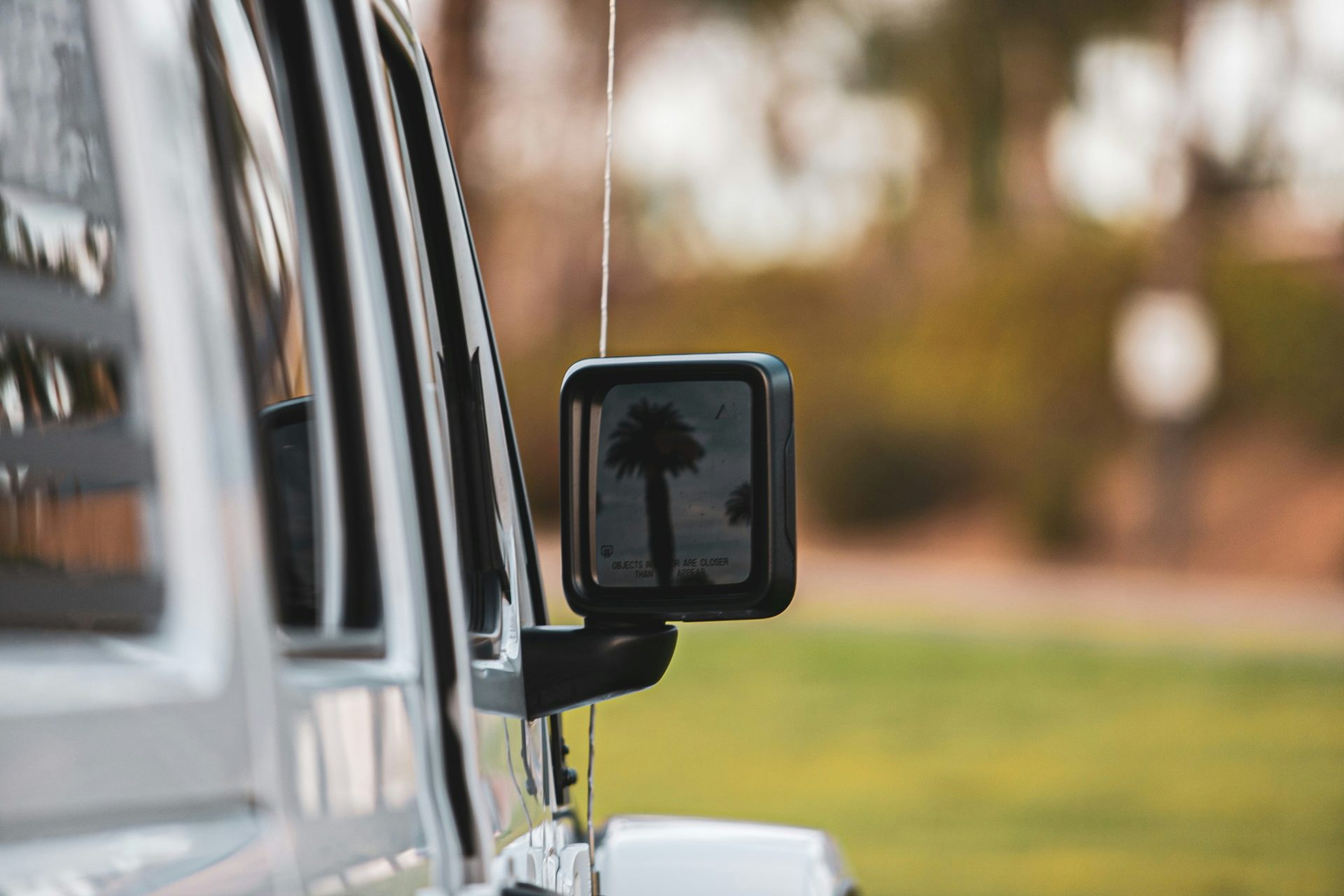 vehicle with side mirror reflects palm tree